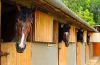 free Duddon stable construction quotes